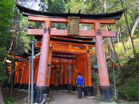 伏見稲荷の千本鳥居からの後光