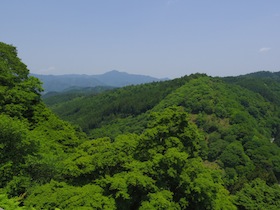 新緑の吉野山