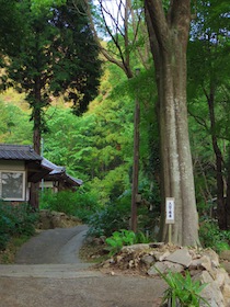 愛媛県の大三島