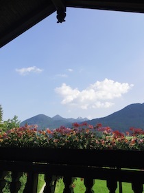 テラスの花越しに見える山並み