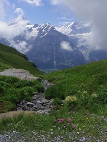 スイスの山