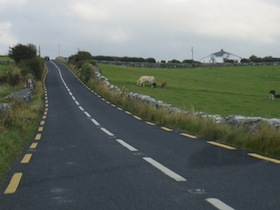 牧草地の中の道路