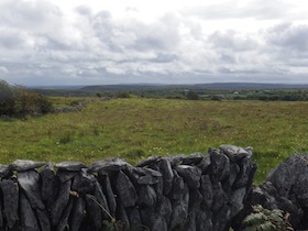 アイルランドの牧草地