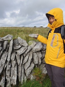 アイルランドの牧草地の石灰岩の柵の石を持つ男性