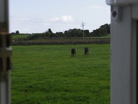 アイルランドの牧草地