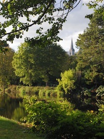 アイルランドの公園