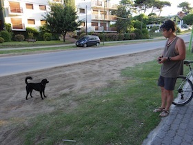 野良犬と見つめ合う男性