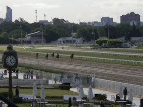 馬が走る競馬場