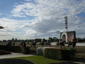 競馬場のトラックで走る馬たち