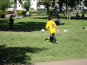 黄色いユニフォームを着て芝生の上でサッカーをする子供