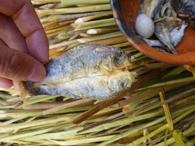 小さな魚の干物