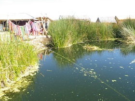 水辺に生えている草と小屋