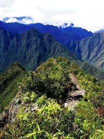 緑の山の尾根