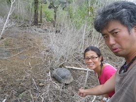 ゾウガメを指差す男性と女性