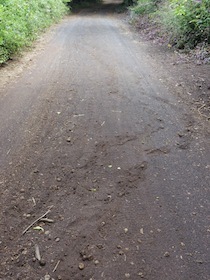 砂利道に残る二本の跡