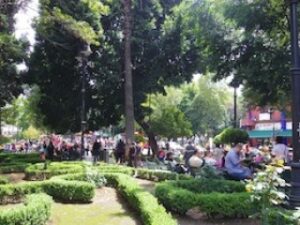 緑の多い公園で休む人々