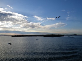 小島と空を飛び交う鴎