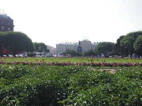 緑が広がる公園