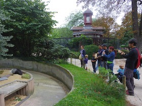 動物園の動物を見学する人たち