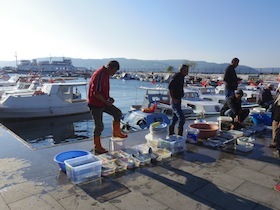 漁港で魚を売る人たち