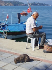 海辺で釣りをする男性とその横にいる猫