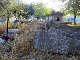 草むらにある墓の遺跡