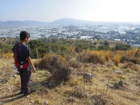 ビニールハウス群がある町を見下ろす男性