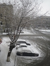 路駐している車の上に雪が積もっている様子