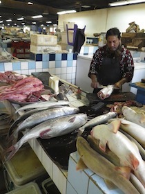 大きな魚が並ぶ前で魚を捌く男性