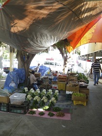 野菜が売られている市場