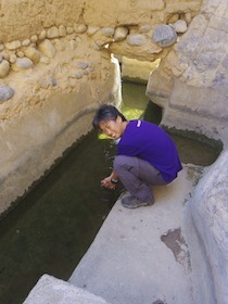 水路で手を濡らす男性