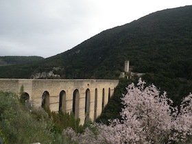 石橋とアーモンドの花