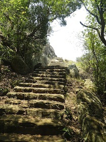 山の中の階段