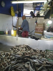 魚屋の店先に積まれている生魚