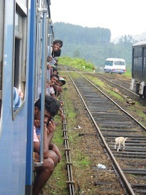 青い列車の車窓から顔を出す人たち