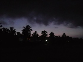 椰子の木の影が見える夜空