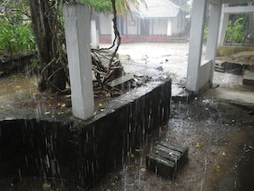 雨が降る中庭