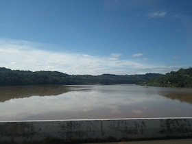 森に囲まれた川