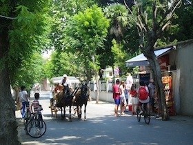 売店の前を走る馬車