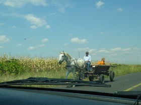 とうもろこし畑と馬車