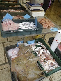 市場で売られている魚介